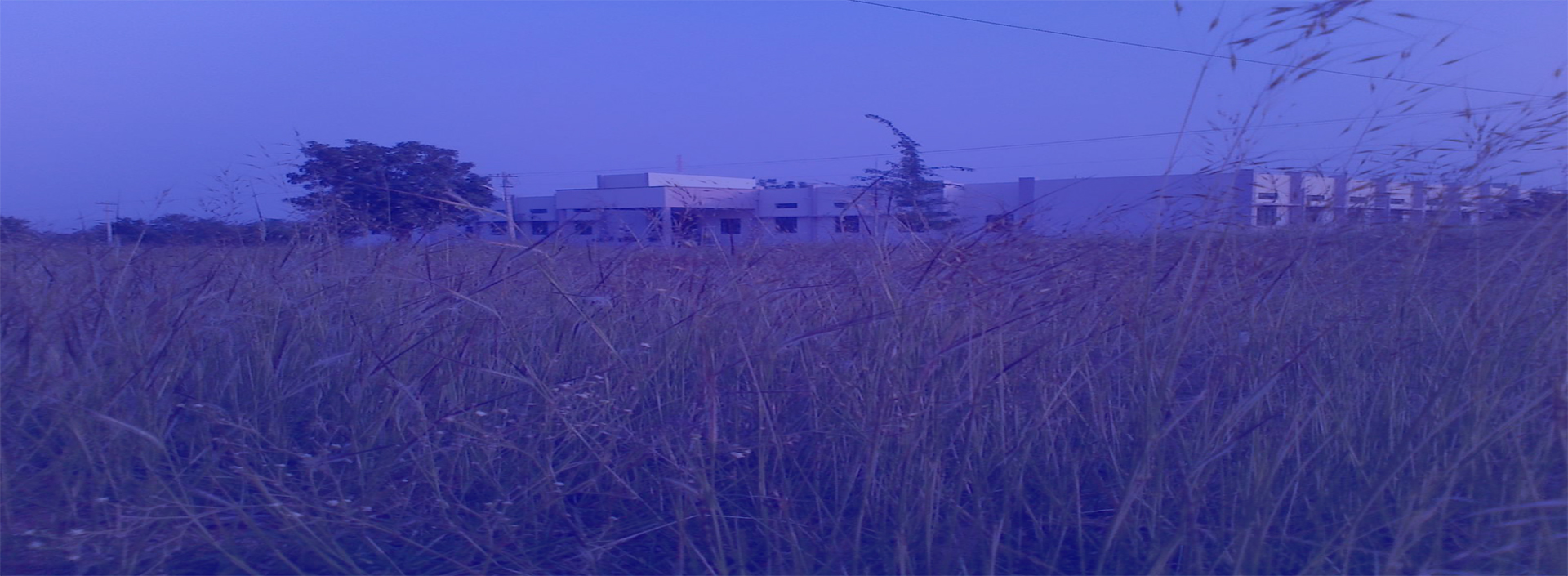 slider-image
